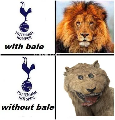 BorysBadena - #prawda #tottenham #mecz #premierleague #garethbale #bale #smiesznypies...