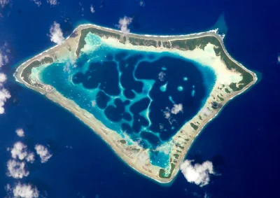 plackojad - Otwieram nowy tag: #bekazatoli - dla śmieszkowania z wysp koralowych ( ͡º...