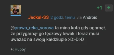 prawarekasorosa - Nawet nie wiem jak to skomentować xD

 ta mina kota gdy ogarnął, ż...