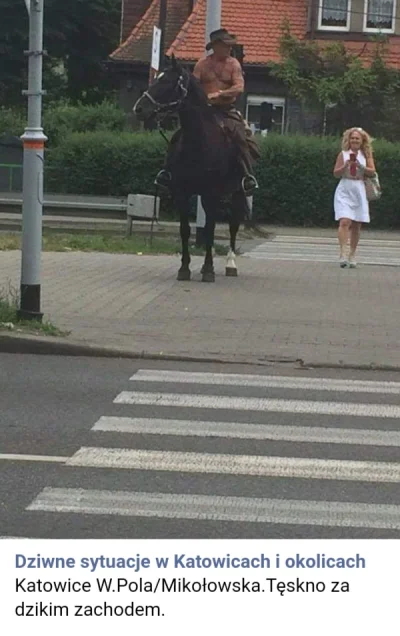 Vittel - #katowice #konie Czy w takiej sytuacji powinno sie zejsc i przeprowadzic kon...