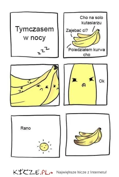 BolecSprawiedliwosci - Gdyby ktoś nie pamiętał skąd się biorą banany z plamami