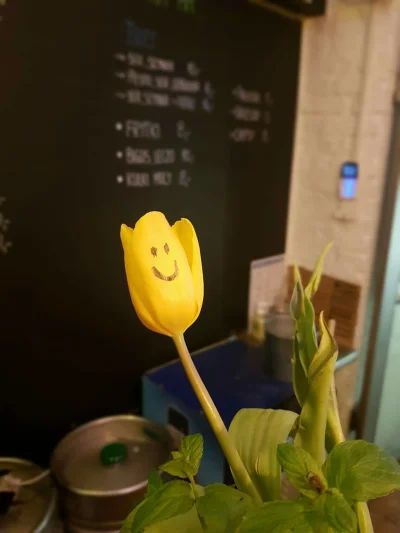 Psycho_patka1 - Na pocieszenie tulipan z uśmiechem :-) 
#heheszki