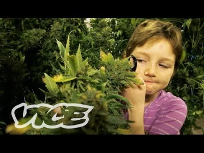 tomosano - Odpowiedzią jest cannabis oil, który dobrze sprawdza się u dzieci z chorob...