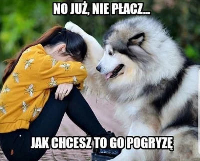 poszukujekota - #pies #heheszki #humorobrazkowy
(｡◕‿‿◕｡)