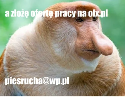 piesrucha - złożę 
#polak