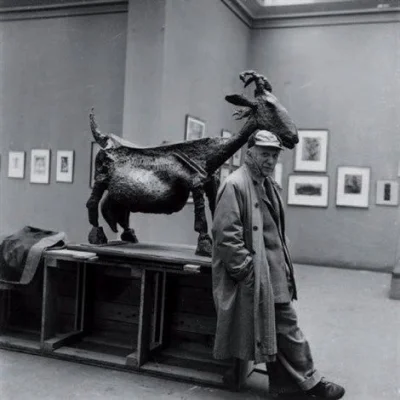Micrurusfulvius - No dobra jeszcze jedna koza :P

#fotografia 
#fotohistoria
#pic...