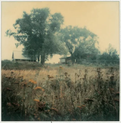 Lizus_Chytrus - Kilka polaroidów Tarkowskiego

a zawołam @absolutnie 

#fotografi...