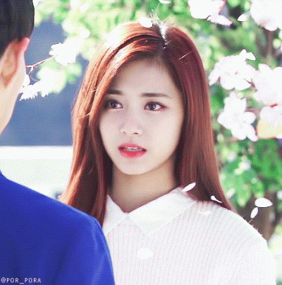 Tragu - #twice #tzuyu #koreanka
(｡◕‿‿◕｡)ʕ•ᴥ•ʔ