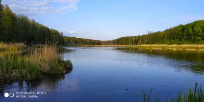 w_rodak - Polecam osobiście na dłuższy spacer miejsce - ścieżka przyrodnicza "Bobrówk...