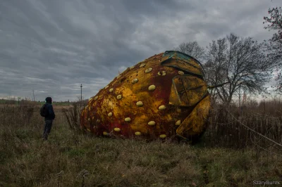 nightmeen - Na taką wielką opuszczoną truskawkę natknąłem się wczoraj niedaleko Warsz...