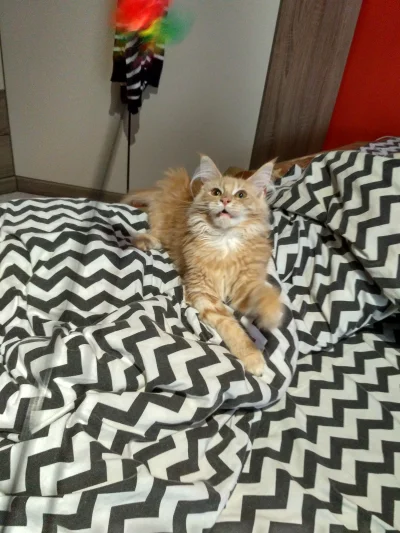 gfgfgfa - więcej dowodów