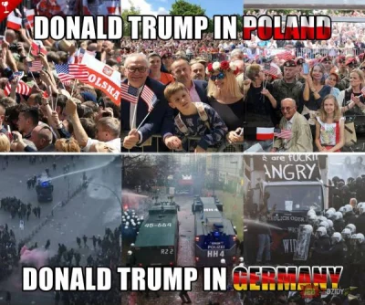 enforcer - #polska #trump #niemcy