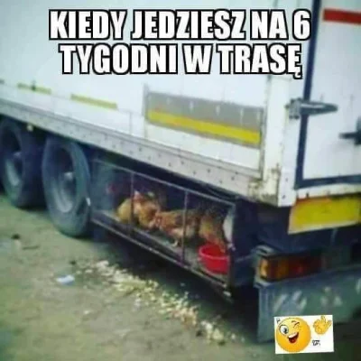 FeyNiX - #bekaztransa #transport #heheszki #humorobrazkowy