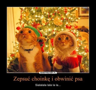 Peepsy - Już niedługo :) 
#swieta #koty #smiesznekotki