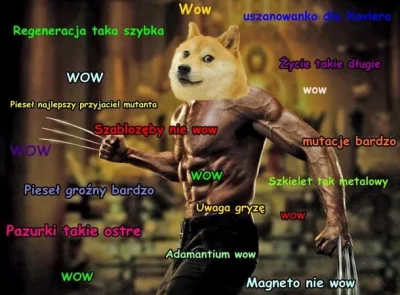 O.....i - #doge #kwejksrejk #nieprawilnie #piesel #smiesznypiesek