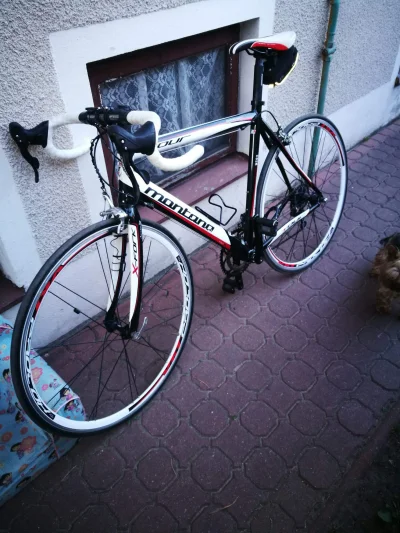 Bulbulatorpizoelektryczny - Montana 2x10 Campagnolo veloce, vbrake Campagnolo, widele...