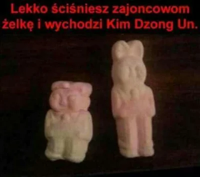 Przem10 - #kimdzongun #koreapolnocna #heheszki #humorobrazkowy