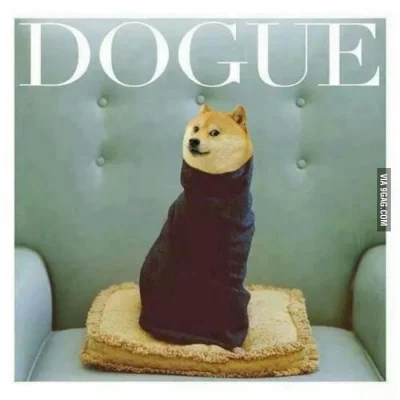 P.....k - #doge #heheszki #smiesznypiesek #humorobrazkowy #thanksdoge