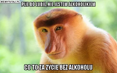 JanushWykopu - #alkoholizm #heheszki #humorobrazkowy