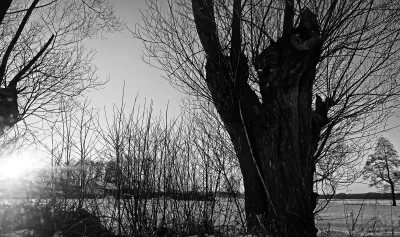 kopek - 23/365 Stare drzewo
 
FB

#fotografia #tworczoscwlasna #mojezdjecie #cano...