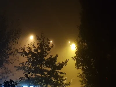 A.....c - Mam nadzieję że to mgła tym razem...
#warszawa #pogoda #smog201819