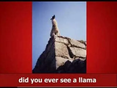 S.....c - did you ever see a llama kiss a llama on the llama

#spiewajzwypokiem