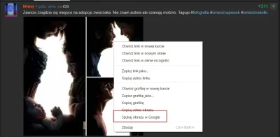 WuDwaKa - @kkwoj: Prawym u myszki na obrazie lub w przeglądarce na telefonie przytrzy...