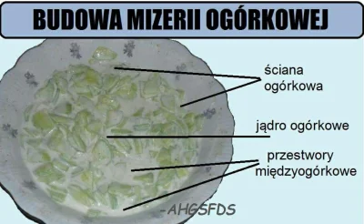 klebsiella - Ten uczuć, gdy opowiadasz na lekcjach o budowie komórki bakteryjnej i dr...