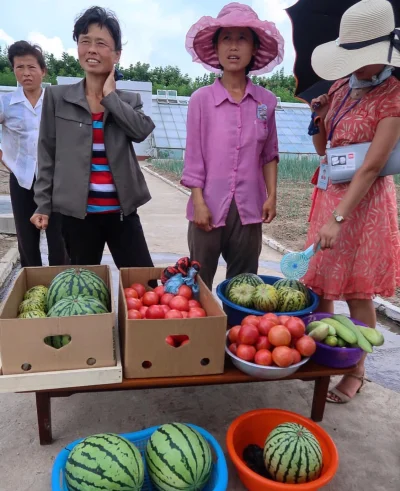 mitatuyo - #koreapolnocna sprzedaż płodów z gospodarstwa w Chongsan-ri, zdjęcie z wcz...