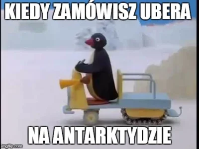 maxx92 - #pingu #heheszki #uber #humorobrazkowy