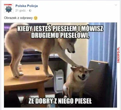 droops - #heheszki #policja #polska Psy to jednak fajne ziomki