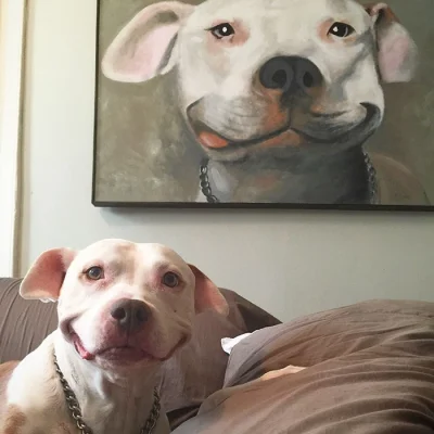 monkali - Wiecznie uśmiechnięty pitbull ( ͡° ͜ʖ ͡°)
#psy #smiesznypiesek #pitbull
