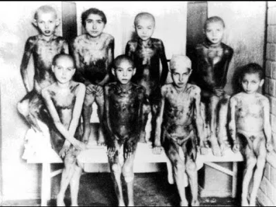 nieocenzurowany88 - Dzieci z Auschwitz na pewno to by potwierdziły