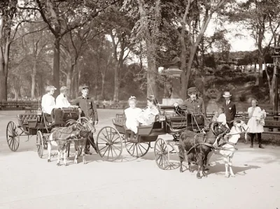 N.....h - Central Park
#nowyjork #1904 #fotohistoria