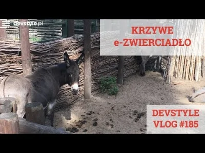 maniserowicz - KRZYWE e-zwierciadło [ #devstyle #vlog #185 ]