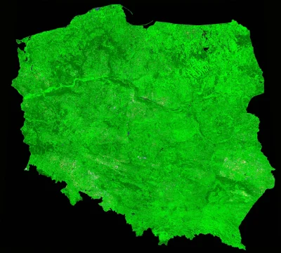 angelo_sodano - Wegetacja na obszarze Polski, zdjęcie wykonane przez sztucznego satel...
