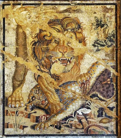 IMPERIUMROMANUM - LEW POWALAJĄCY PANTERĘ

Rzymska mozaika ukazująca lwa powalająceg...