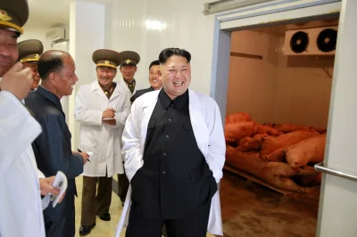 darosoldier - Jednej świni nie ubili
#koreapolnocna