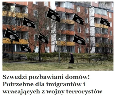 saakaszi - W wykopalisku znalezisko z reporters.pl Szwedzi pozbawiani domów! Potrzebn...