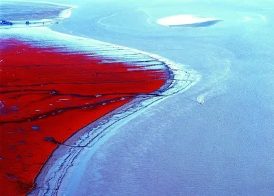 Seiki - Chińska Czerwona Plaża. Kolor zawdzięcza pokrywającym ją wodorostom. 
Dopisu...