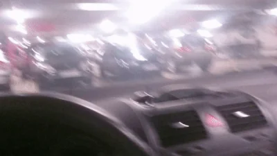 Nightshift12551 - Spotkałem dziś mega creepy psa zamkniętego w aucie na parkingu. Nie...