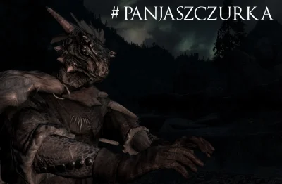 VigoVonHomburg_Deutschendorf - #gry #skyrim #gownowpis #panjaszczurka

Oberża była ...