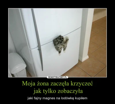 WuDwaKa - #humorobrazkowy #rozowepaski #koty #jedzenie #technologia #heheszki