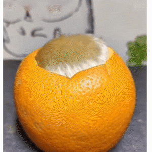 Ryptun - Pomarańczowy chomik w pomarańczowej pomarańczy
I ja już nie jestem zielonki...
