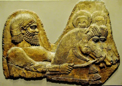 myrmekochoria - Relief z pałacu w Dur-Szarrukin przedstawiający opiekuna koni wraz z ...