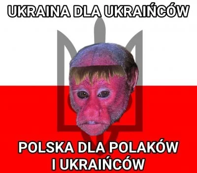 AsuriTeyze - #polak #Ukrainiec #heheszki