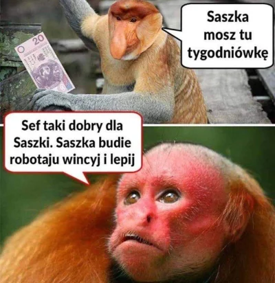 maxx92 - #heheszki #humorobrazkowy #polak #nosaczsundajski #ukrainiec