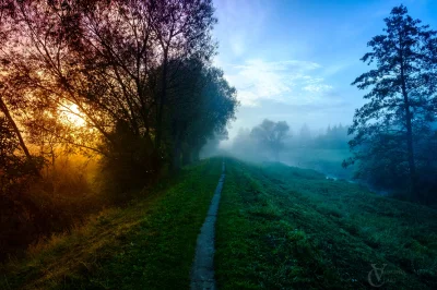 N.....e - Linia drzew oddziela ciepłe powietrze wschodu słońca i zimne z nad rzeki.
...