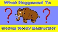 Elthiryel - Dlaczego do tej pory nie sklonowaliśmy mamuta włochatego?

Według mnie ...