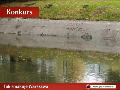 Fryceusz - Jakoś nie mam ochoty na próbowanie wody z tego kanaliku #warszawa #heheszk...